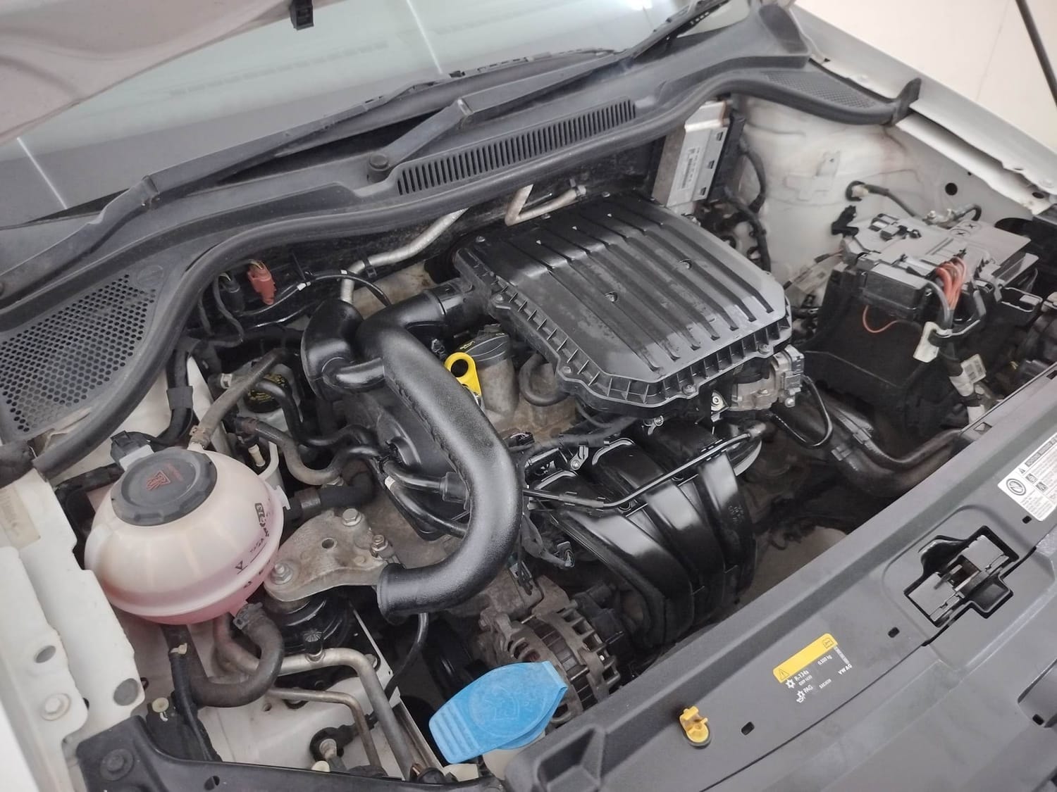 Ameo image 29 Ameo image 29