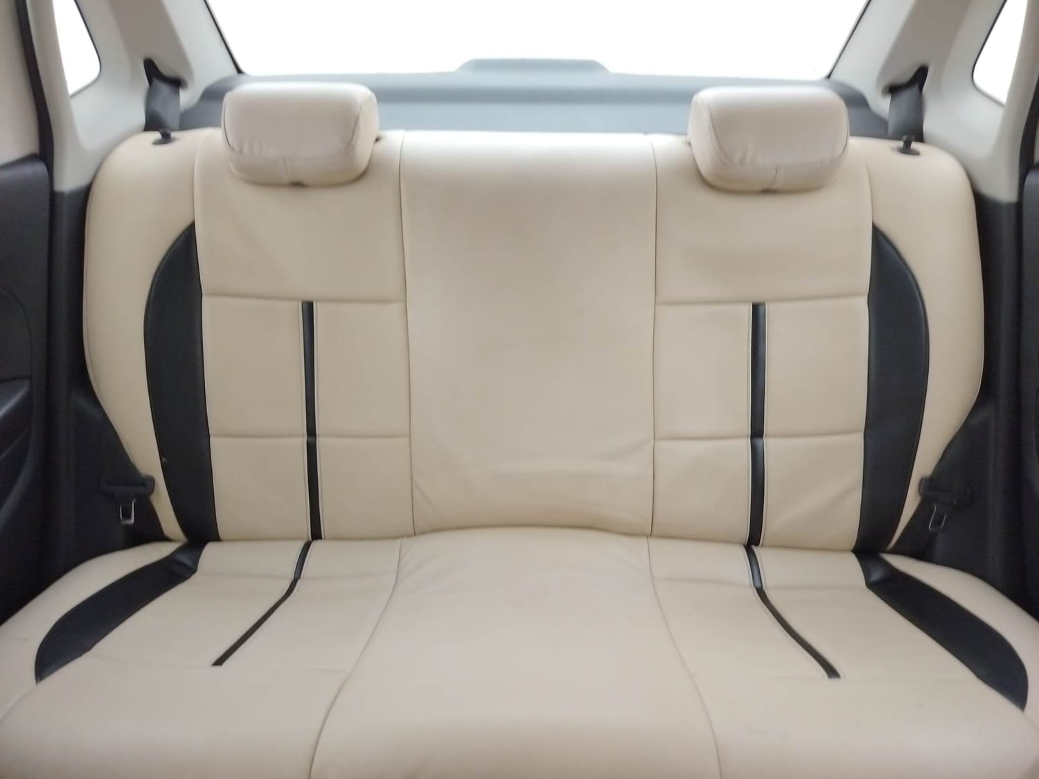 Ameo image 23 Ameo image 23