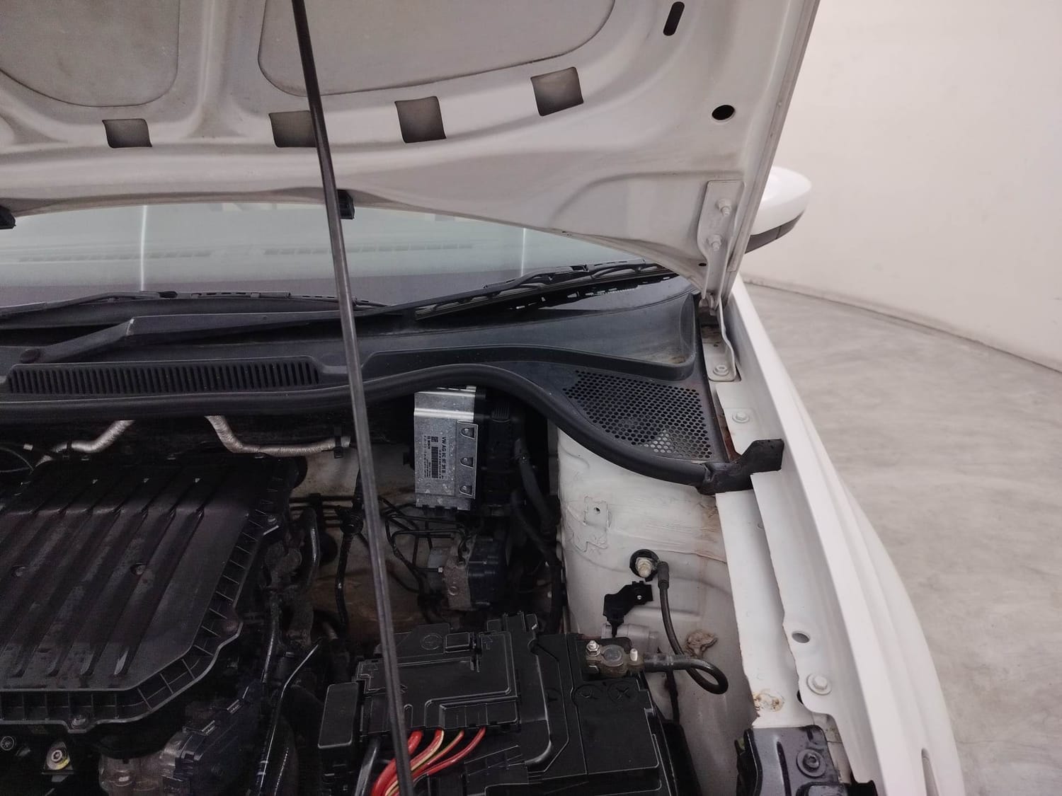 Ameo image 30 Ameo image 30