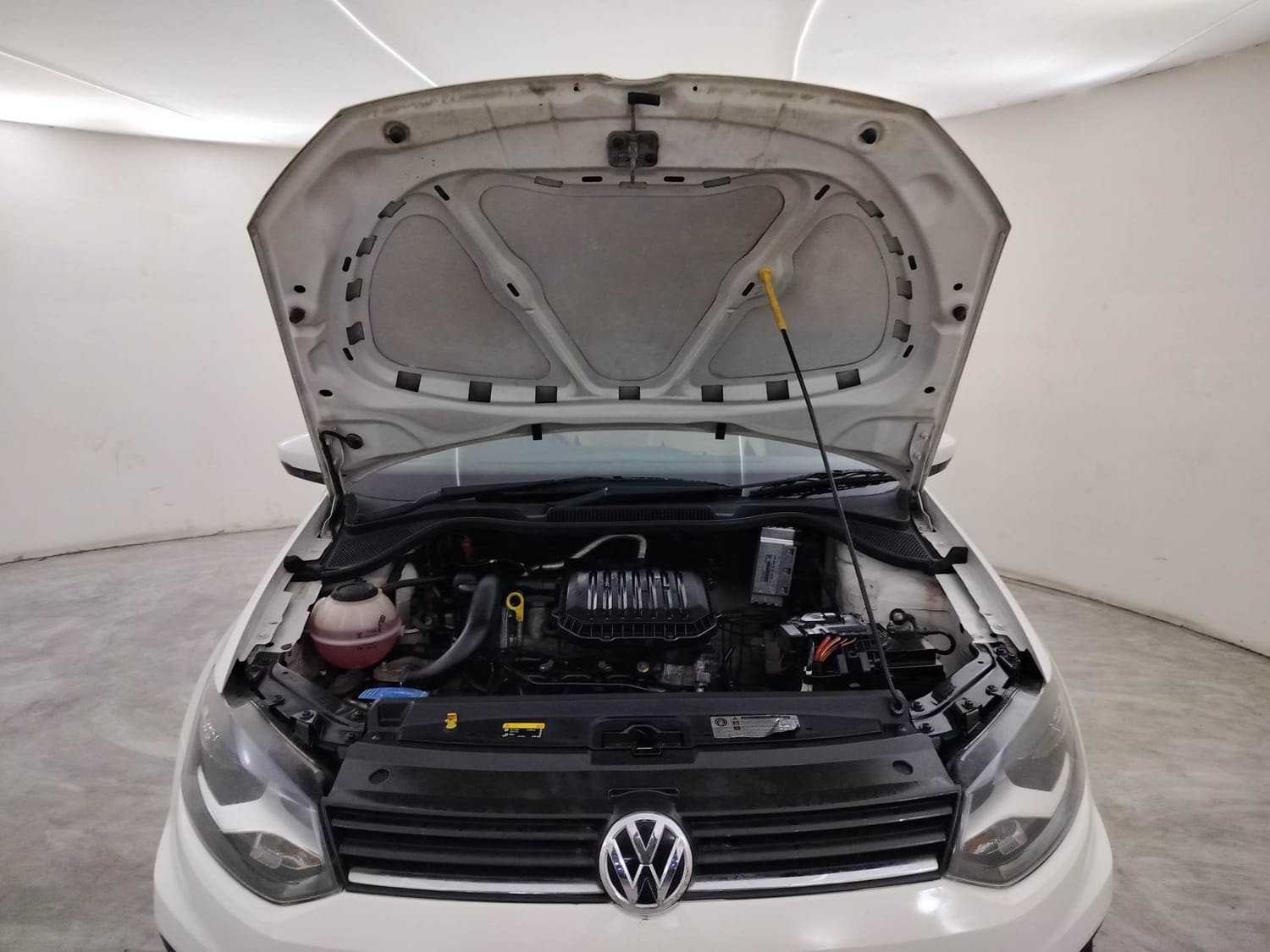 Ameo image 27 Ameo image 27