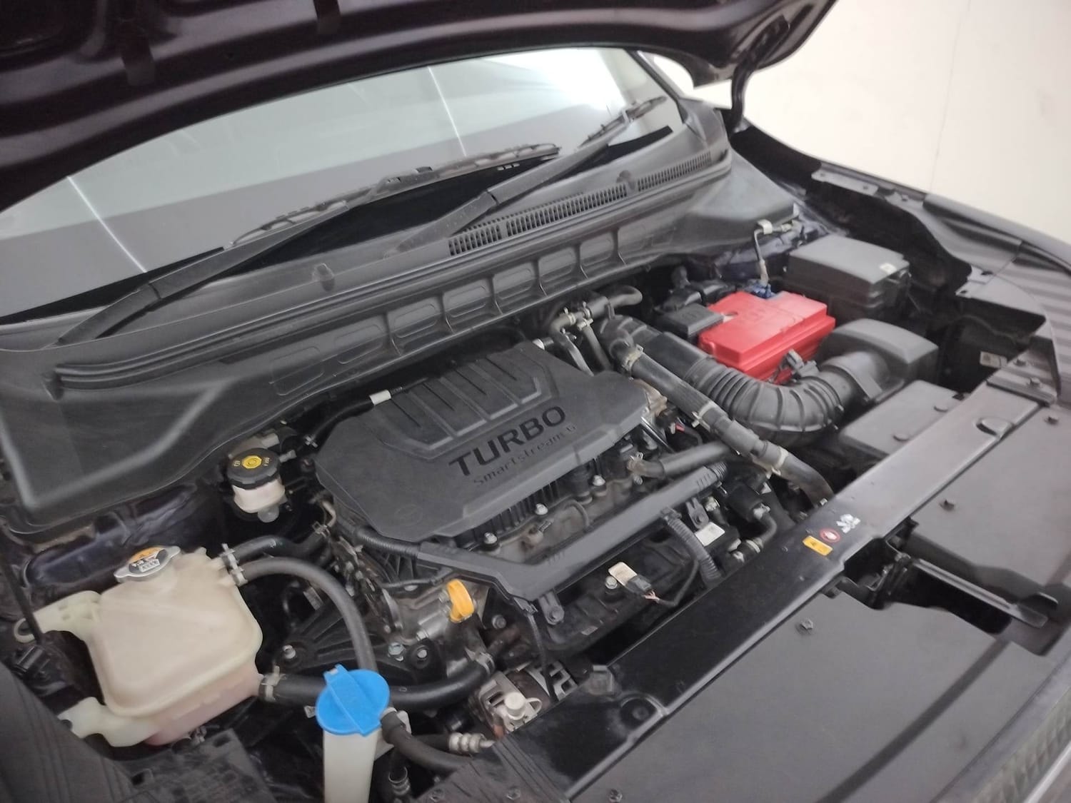 Carens image 29 Carens image 29