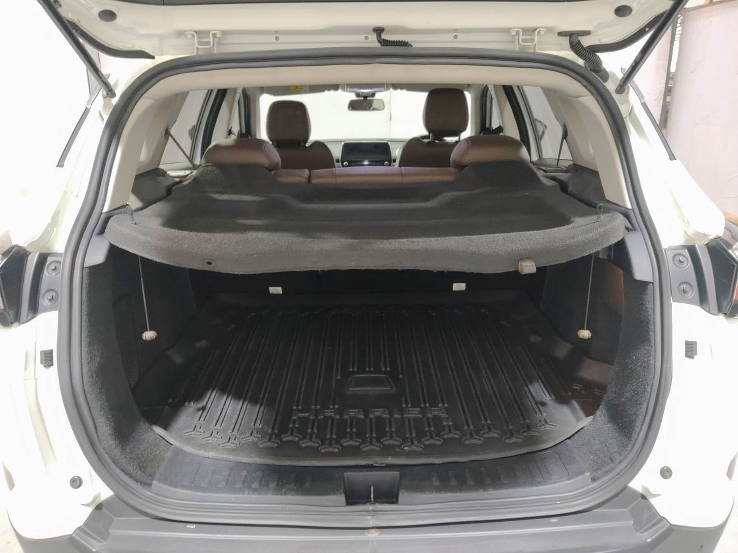 Harrier image 25 Harrier image 25