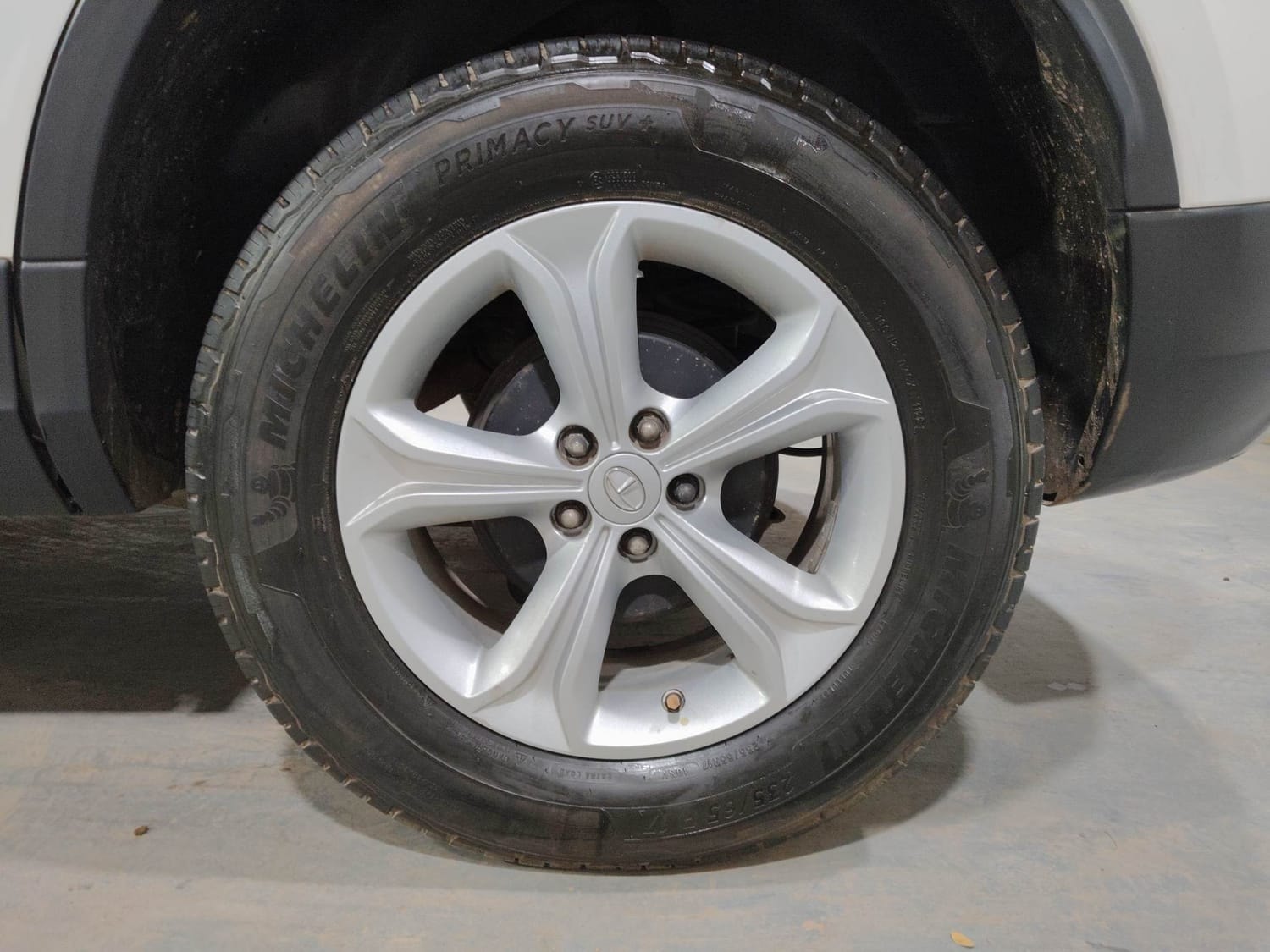 Harrier image 35 Harrier image 35