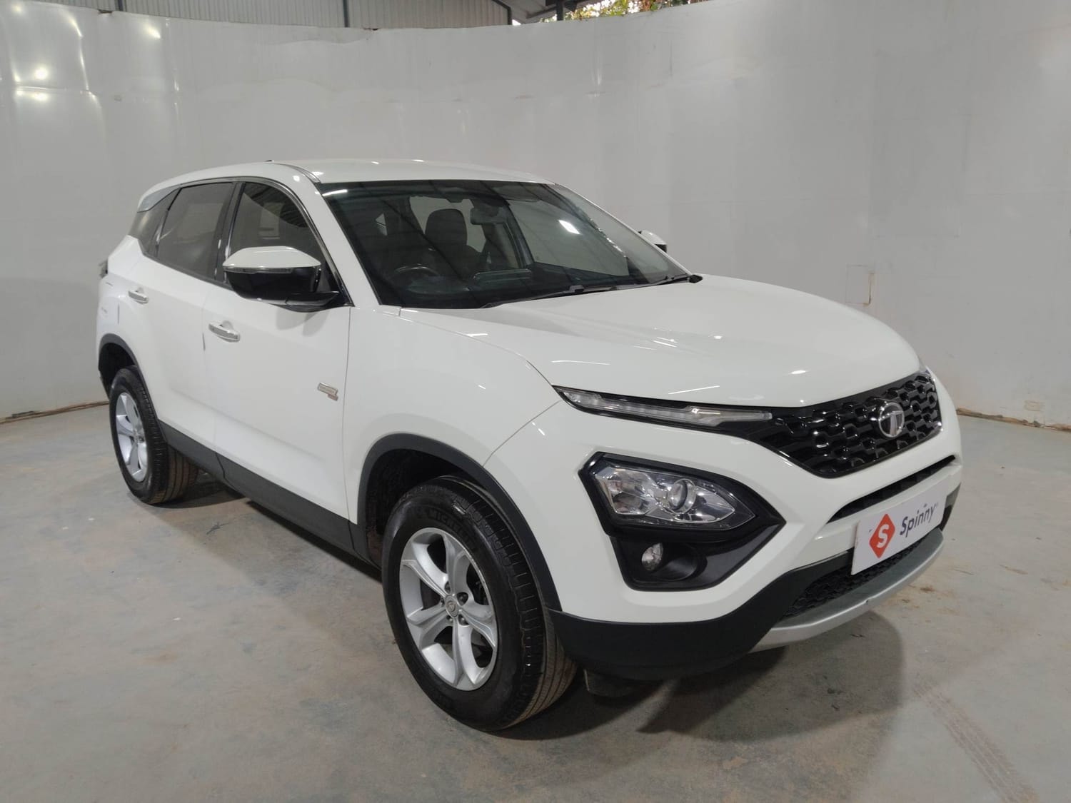 Harrier image 7 Harrier image 7