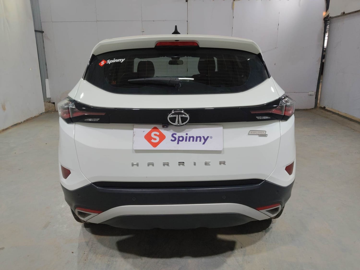 Harrier image 4 Harrier image 4