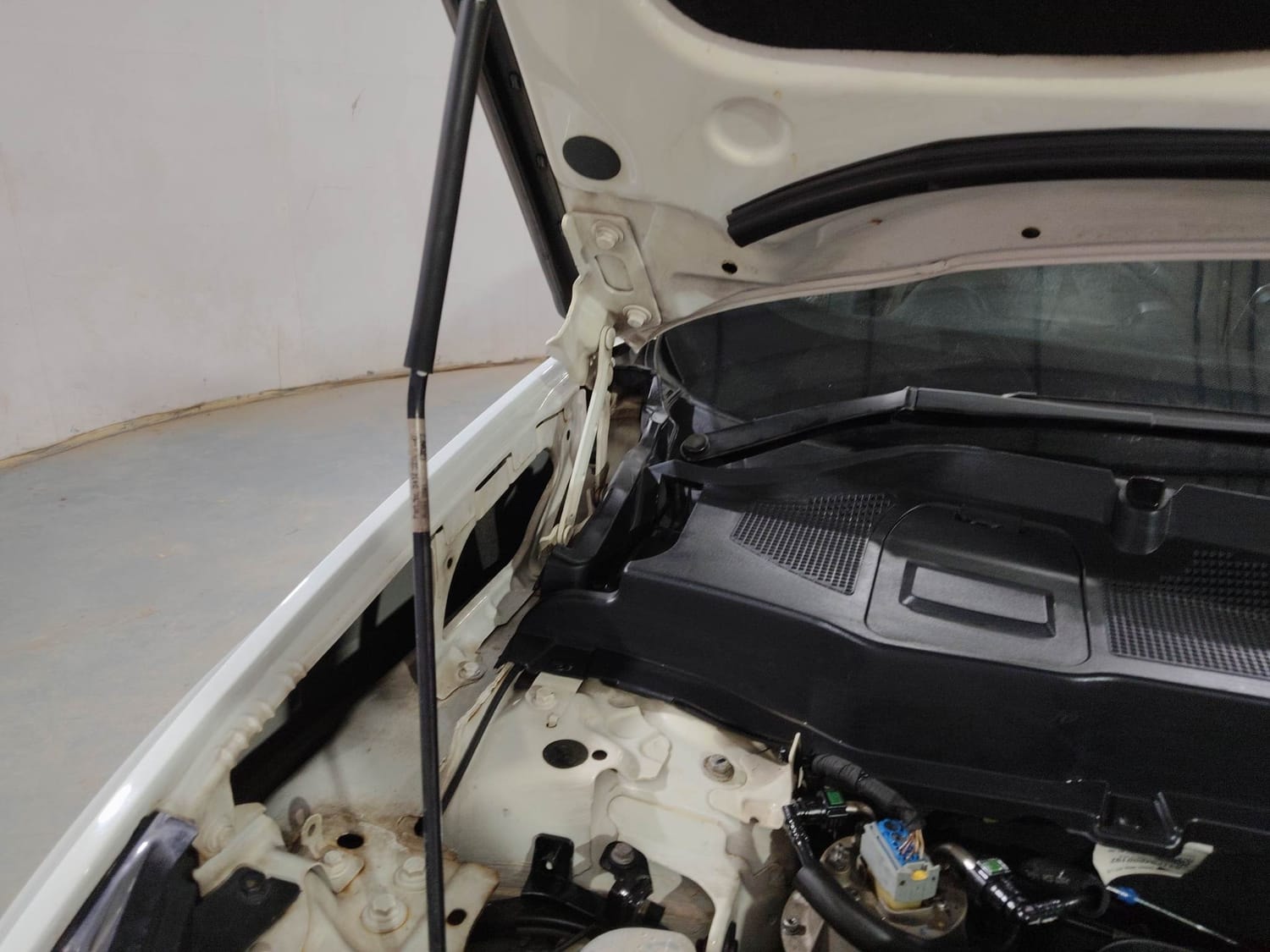 Harrier image 31 Harrier image 31