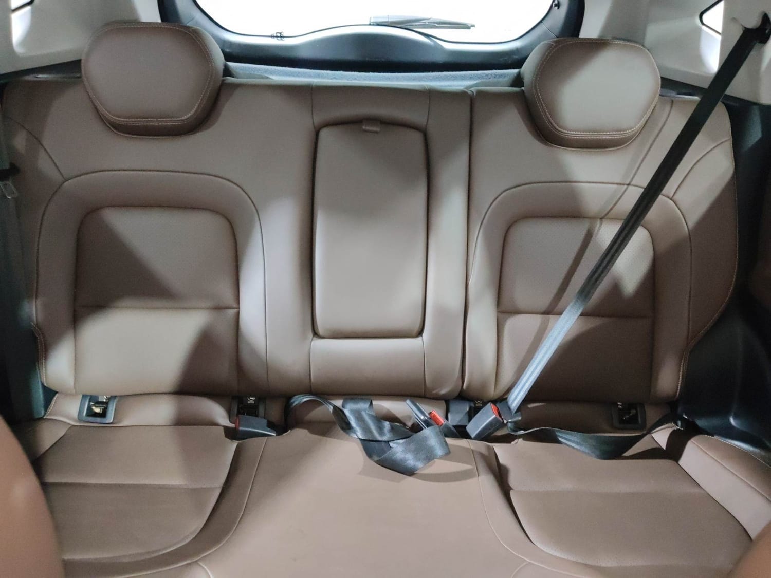 Harrier image 23 Harrier image 23