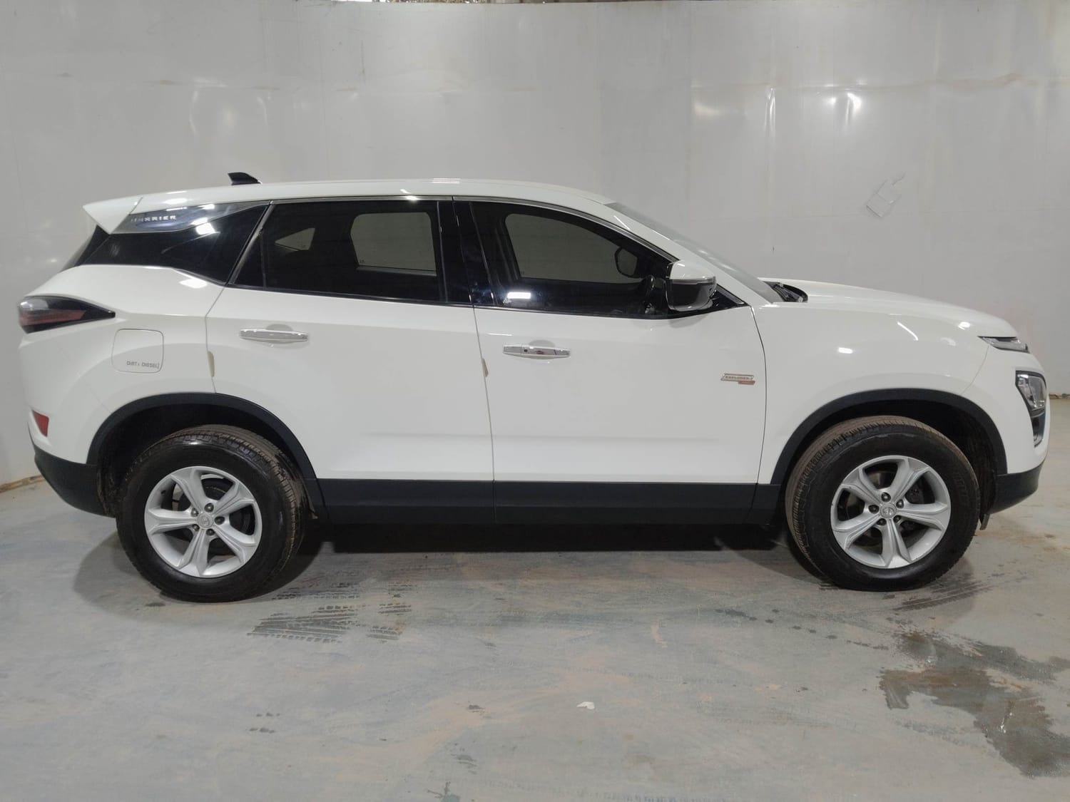 Harrier image 6 Harrier image 6