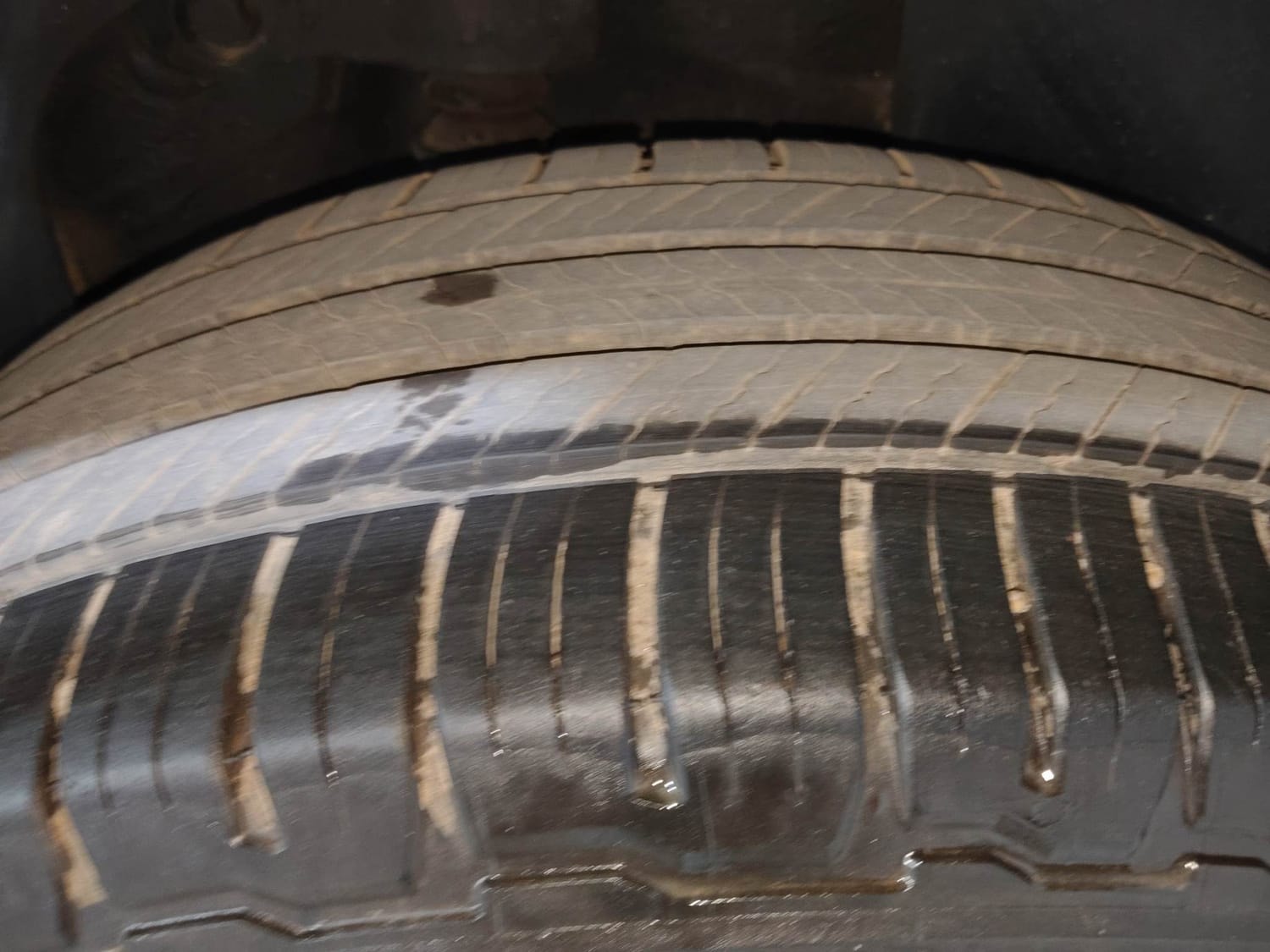 Harrier image 39 Harrier image 39