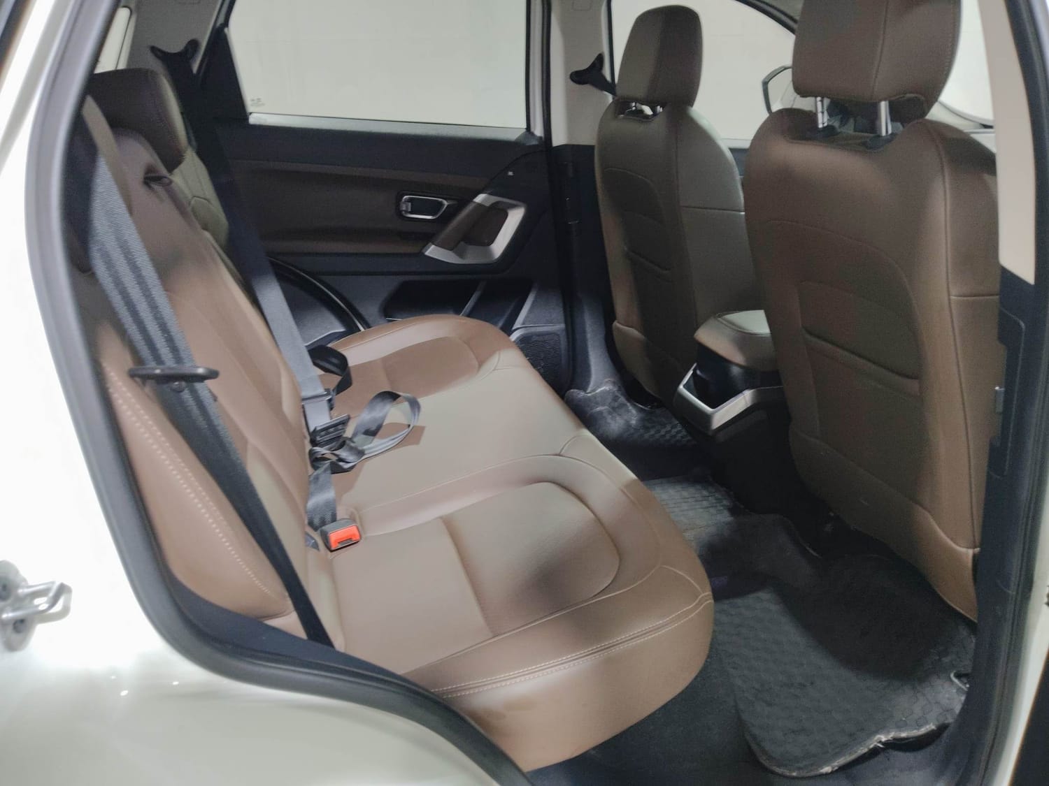 Harrier image 18 Harrier image 18