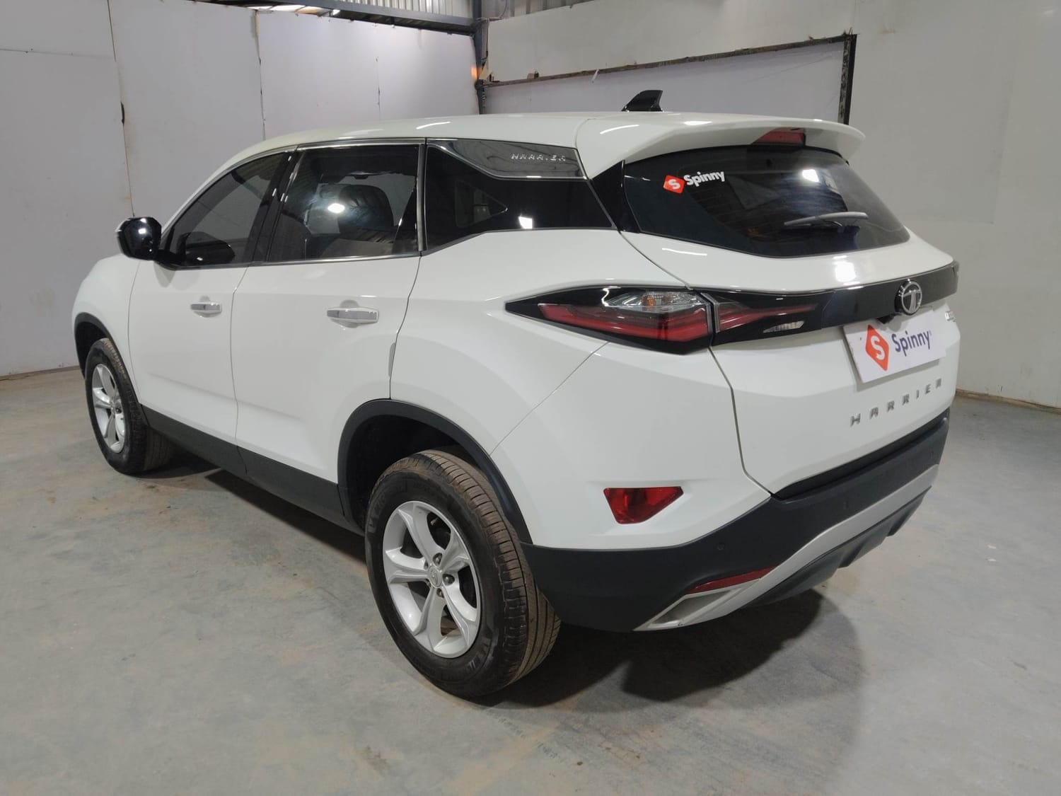 Harrier image 3 Harrier image 3