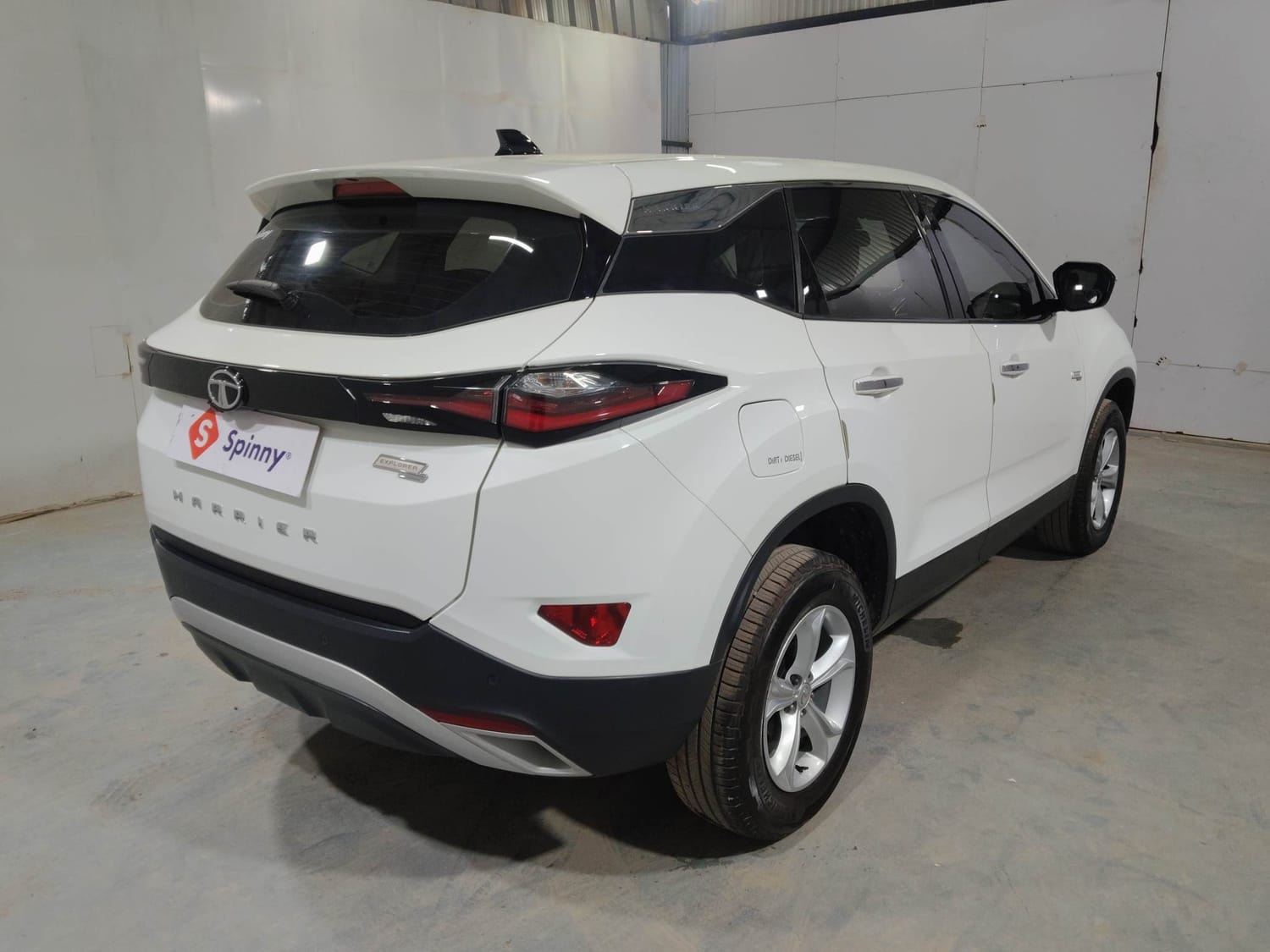 Harrier image 5 Harrier image 5