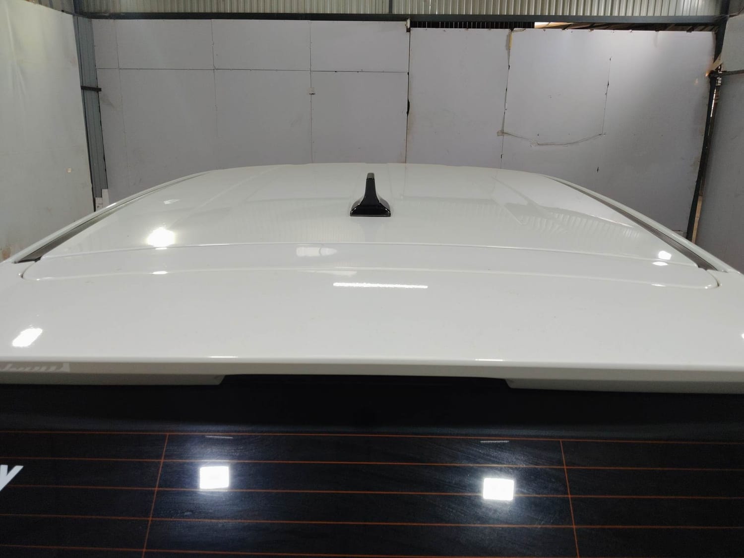 Harrier image 11 Harrier image 11