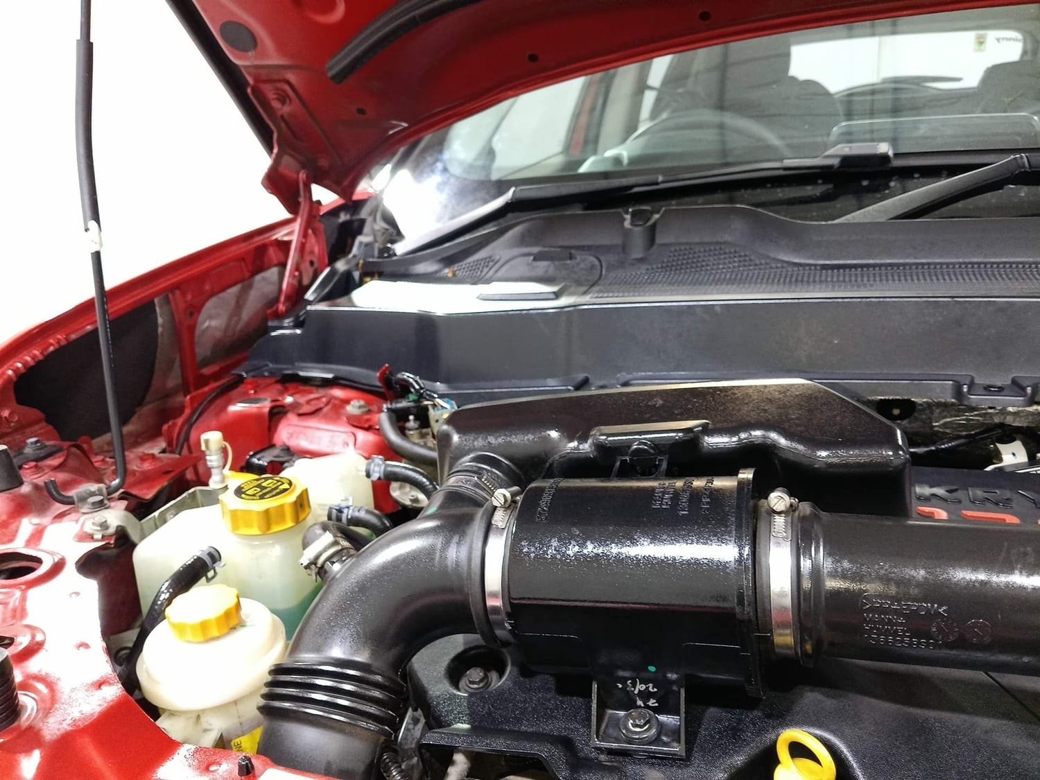 Harrier image 31 Harrier image 31