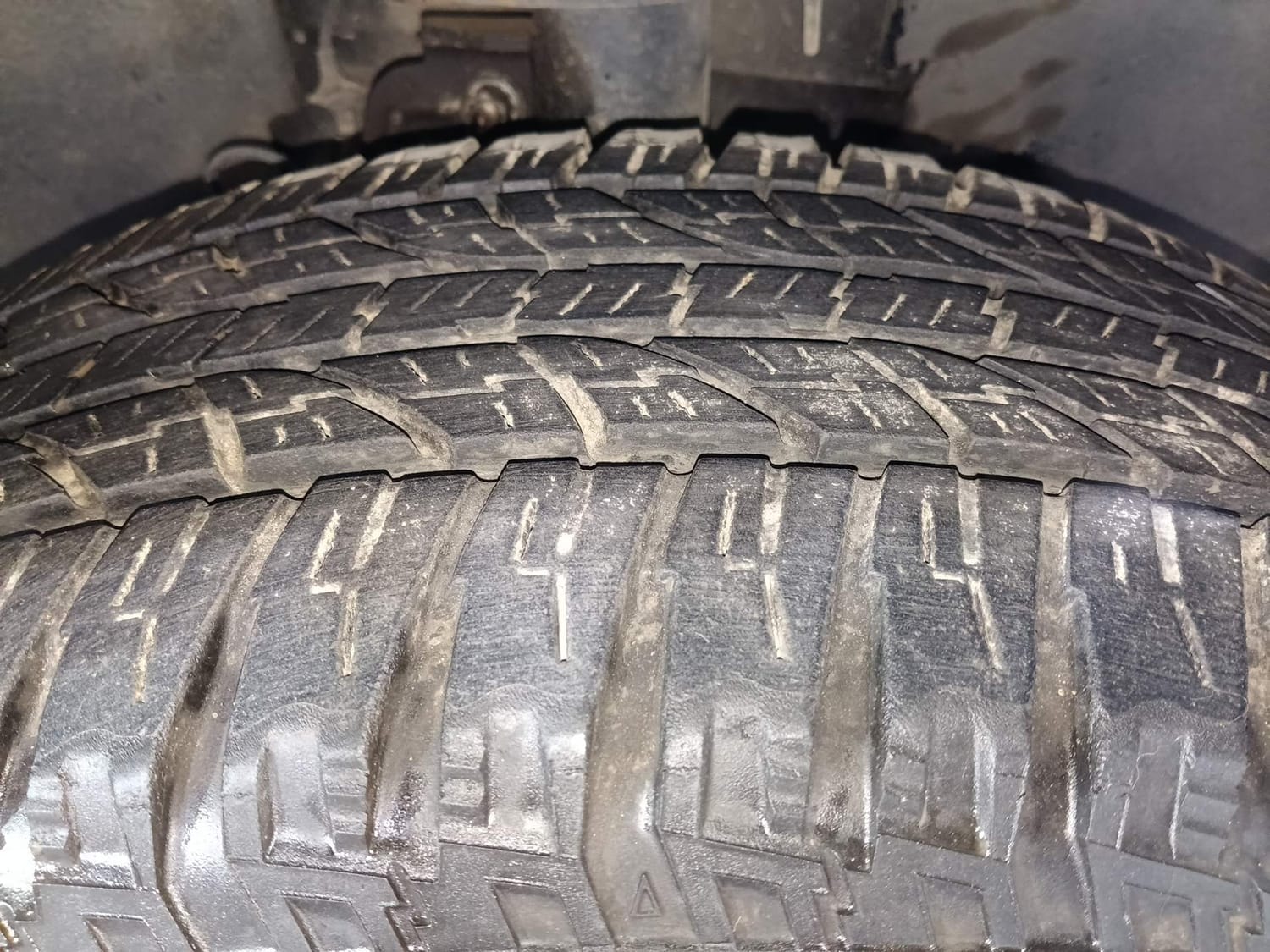 Harrier image 36 Harrier image 36