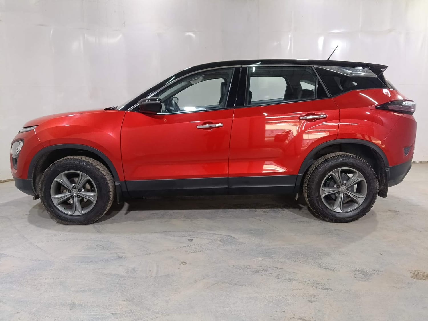 Harrier image 2 Harrier image 2