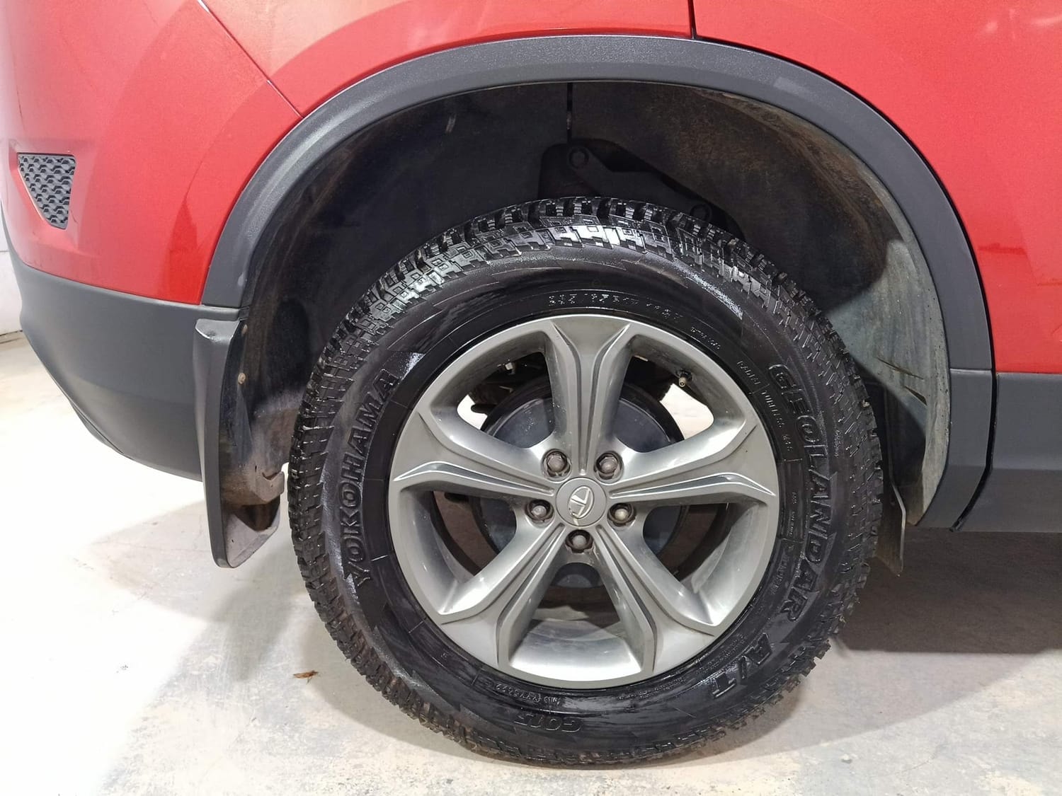 Harrier image 33 Harrier image 33