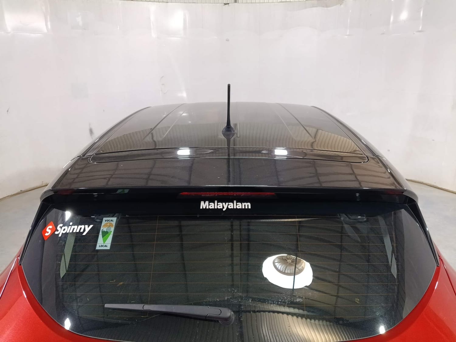 Harrier image 11 Harrier image 11