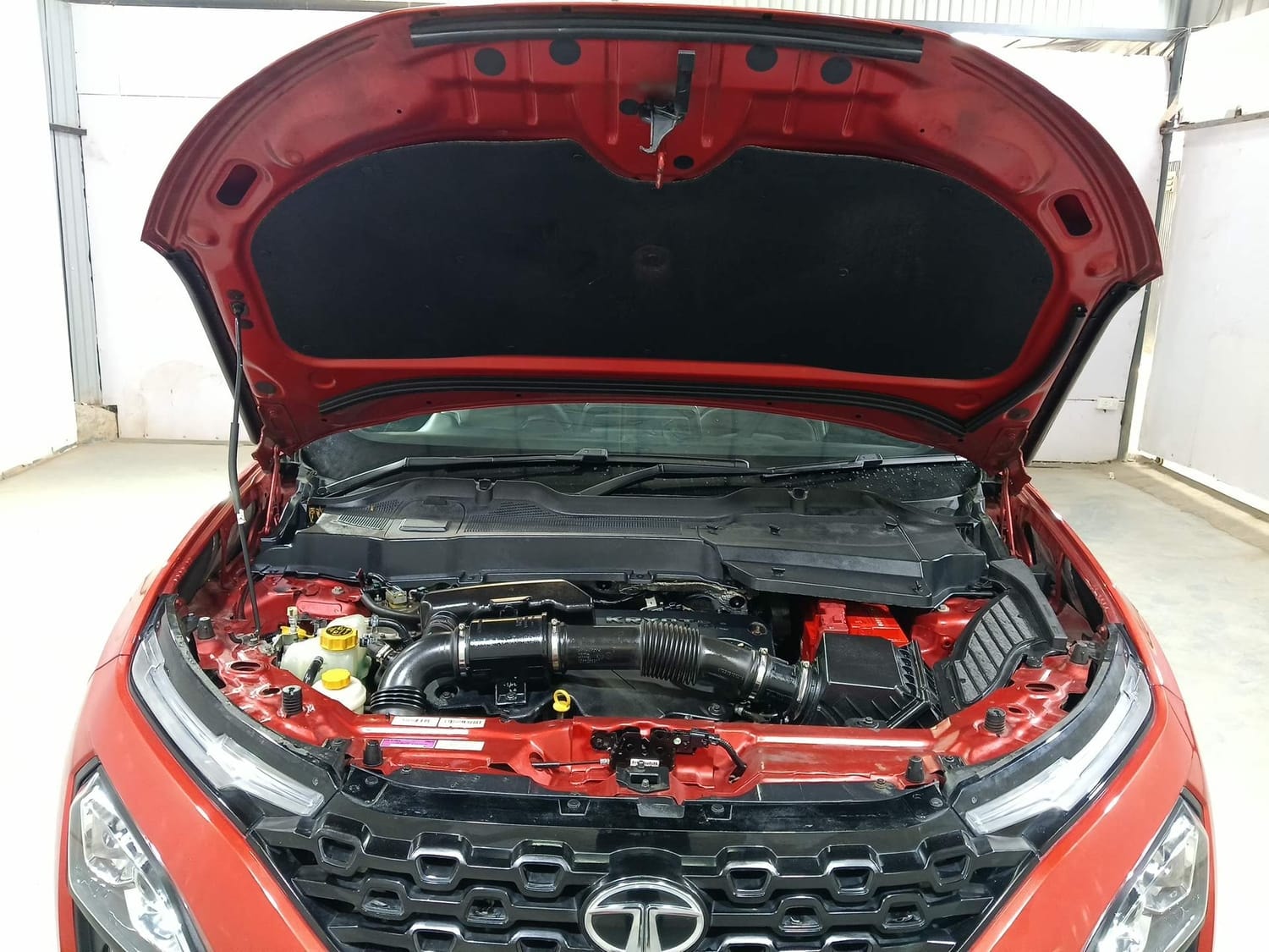 Harrier image 27 Harrier image 27