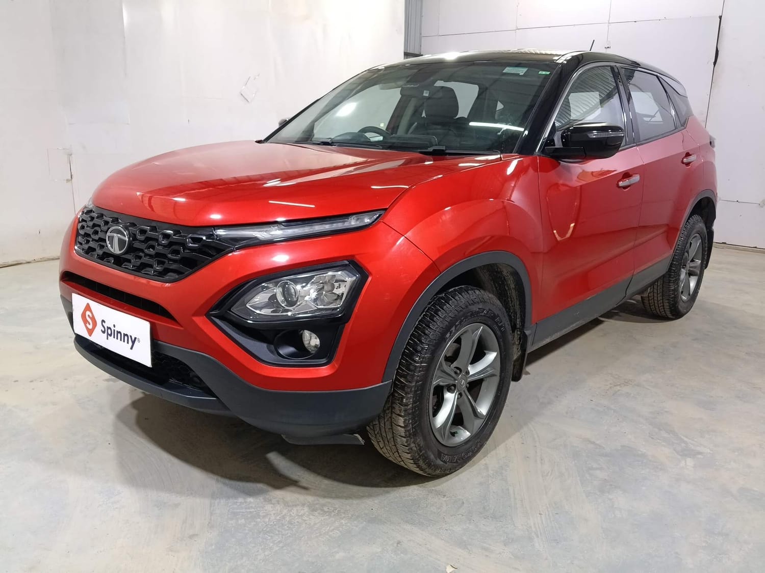 Harrier image 1 Harrier image 1