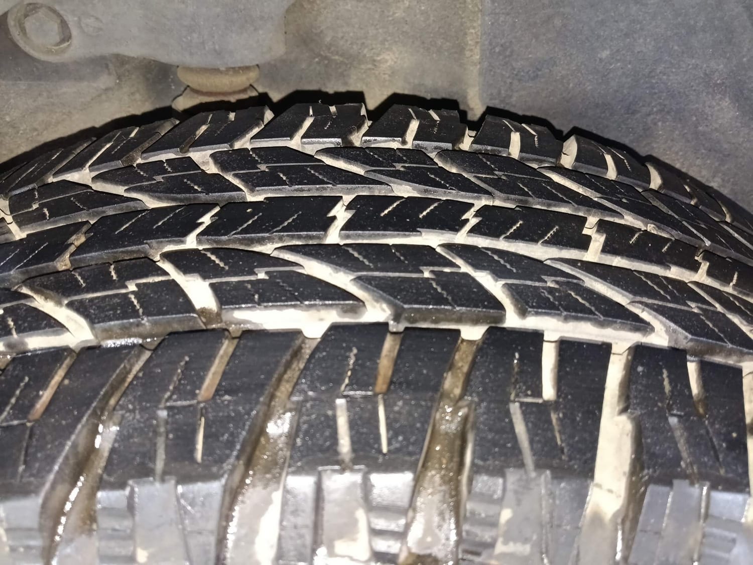 Harrier image 39 Harrier image 39