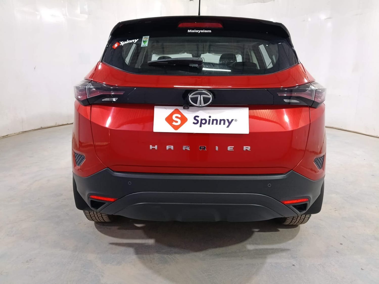 Harrier image 4 Harrier image 4