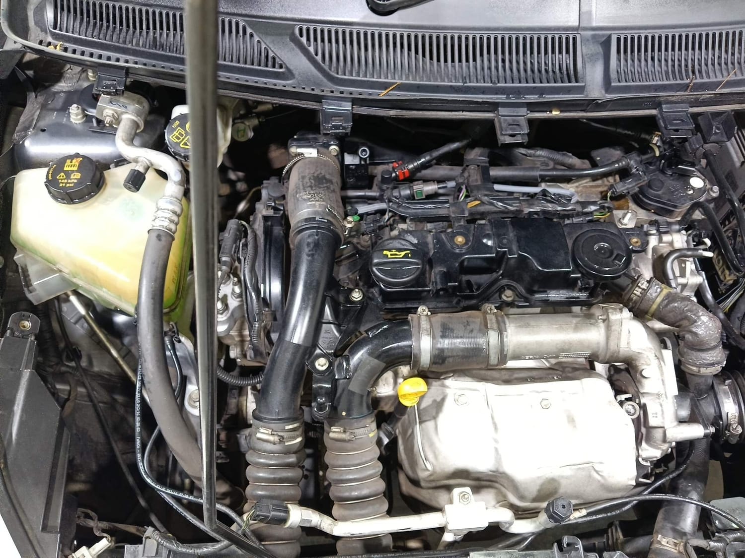 Figo Aspire image 29 Figo Aspire image 29