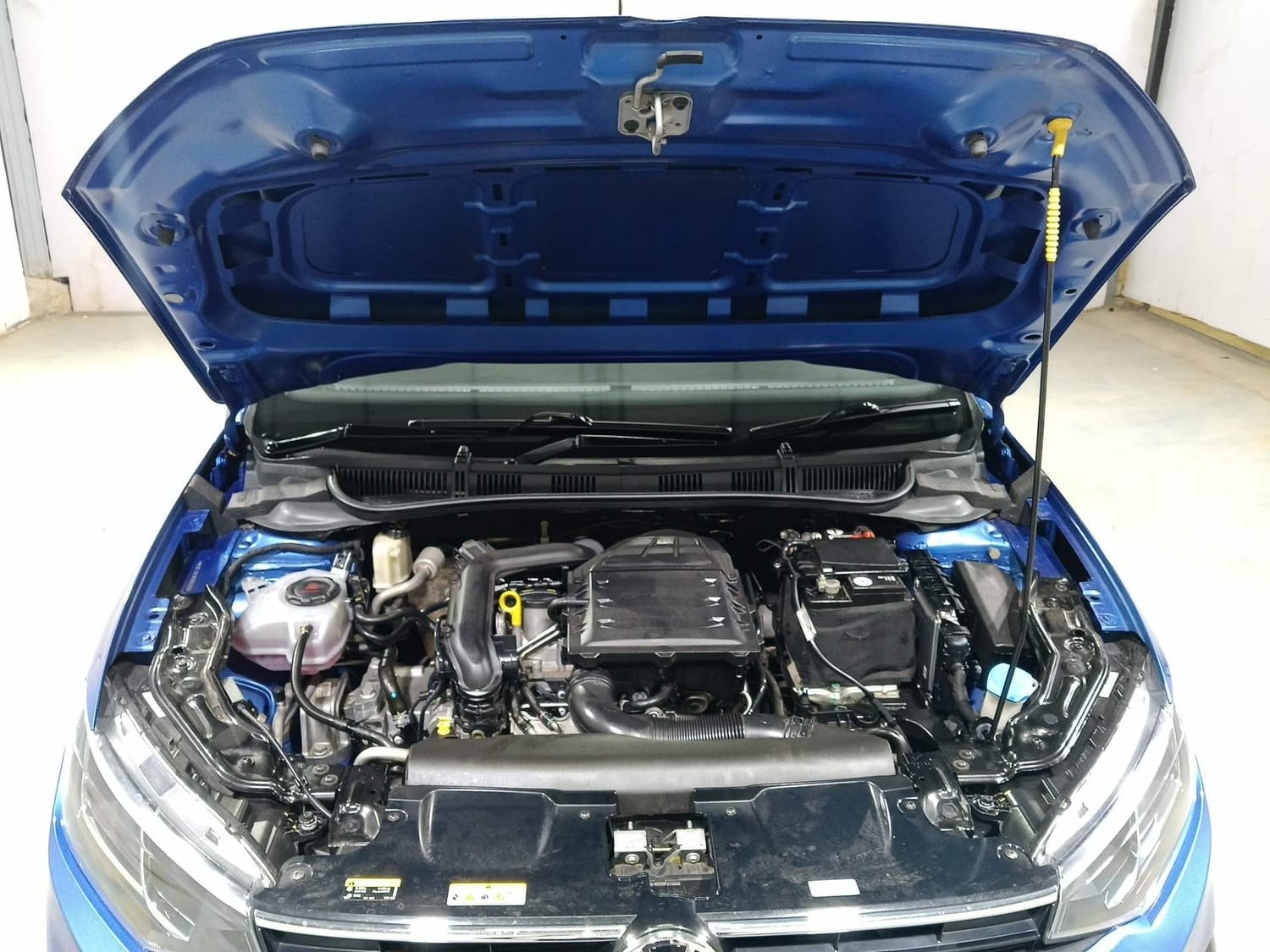 Virtus image 27 Virtus image 27