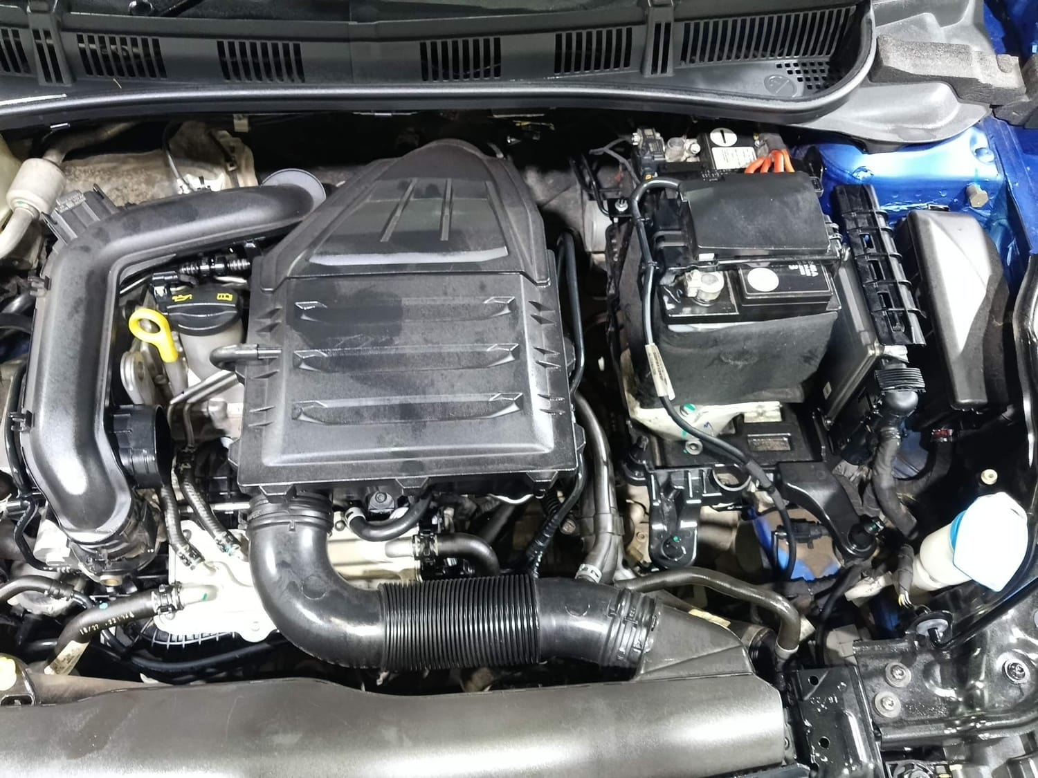 Virtus image 28 Virtus image 28