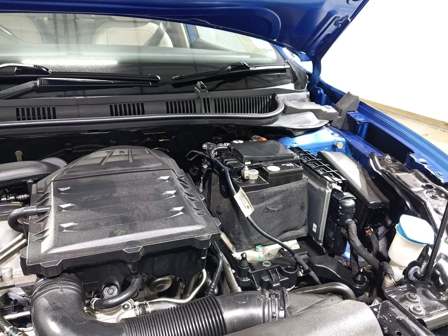 Virtus image 30 Virtus image 30