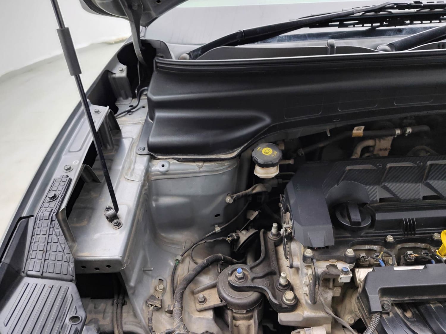 Creta image 31 Creta image 31