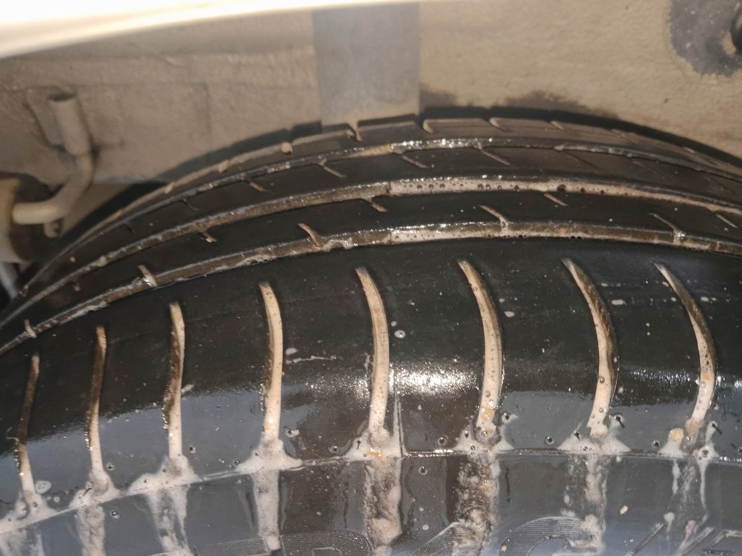 Celerio image 37 Celerio image 37