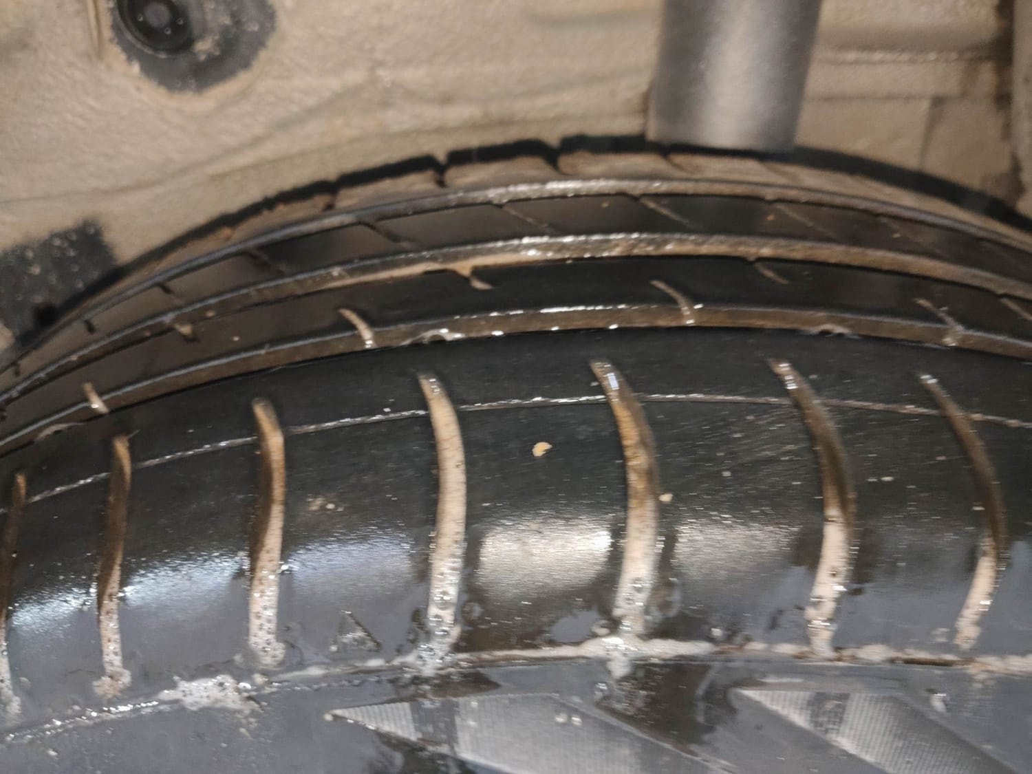 Celerio image 39 Celerio image 39