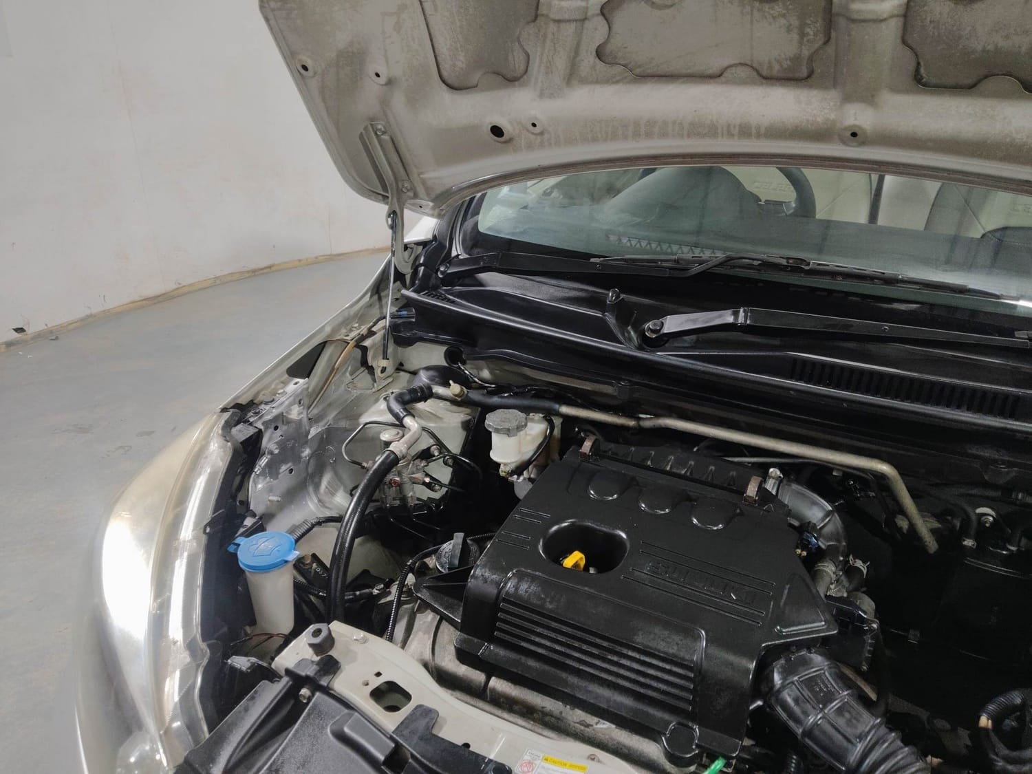 Celerio image 29 Celerio image 29