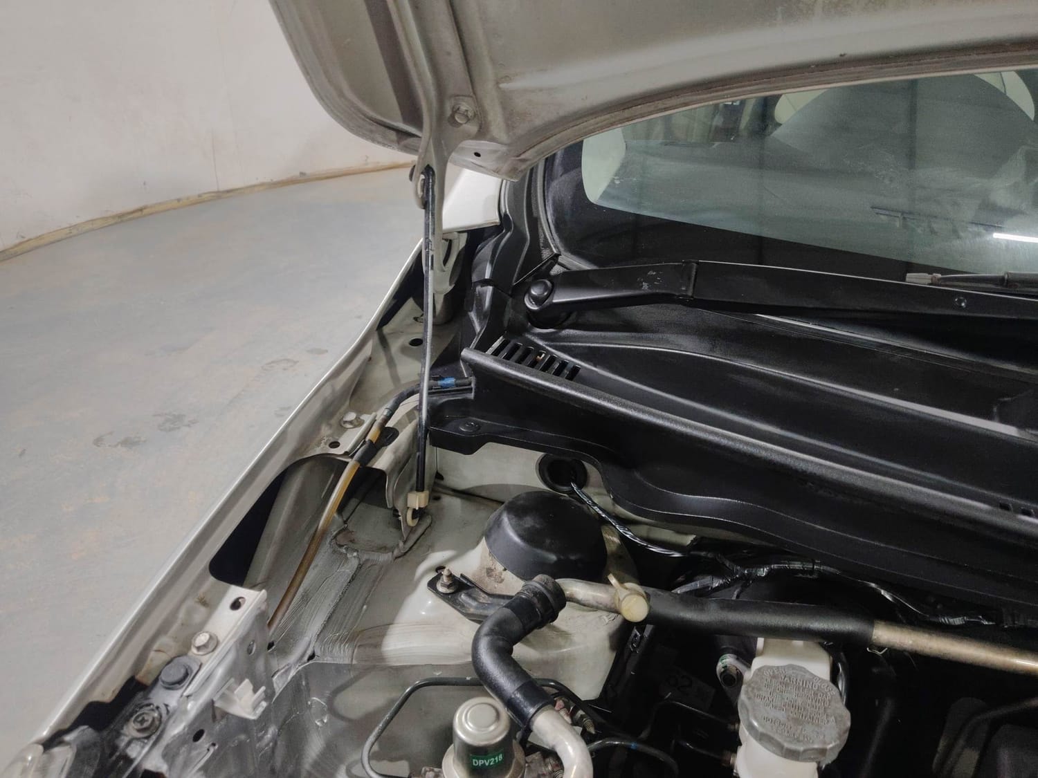 Celerio image 31 Celerio image 31