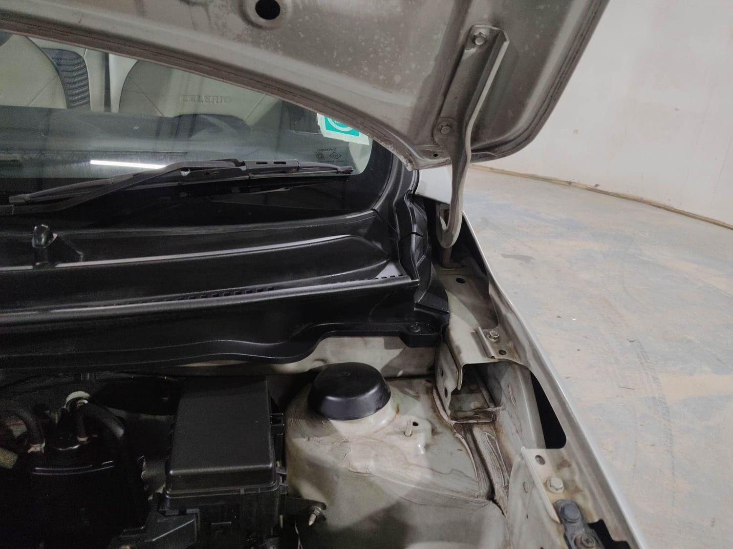 Celerio image 30 Celerio image 30