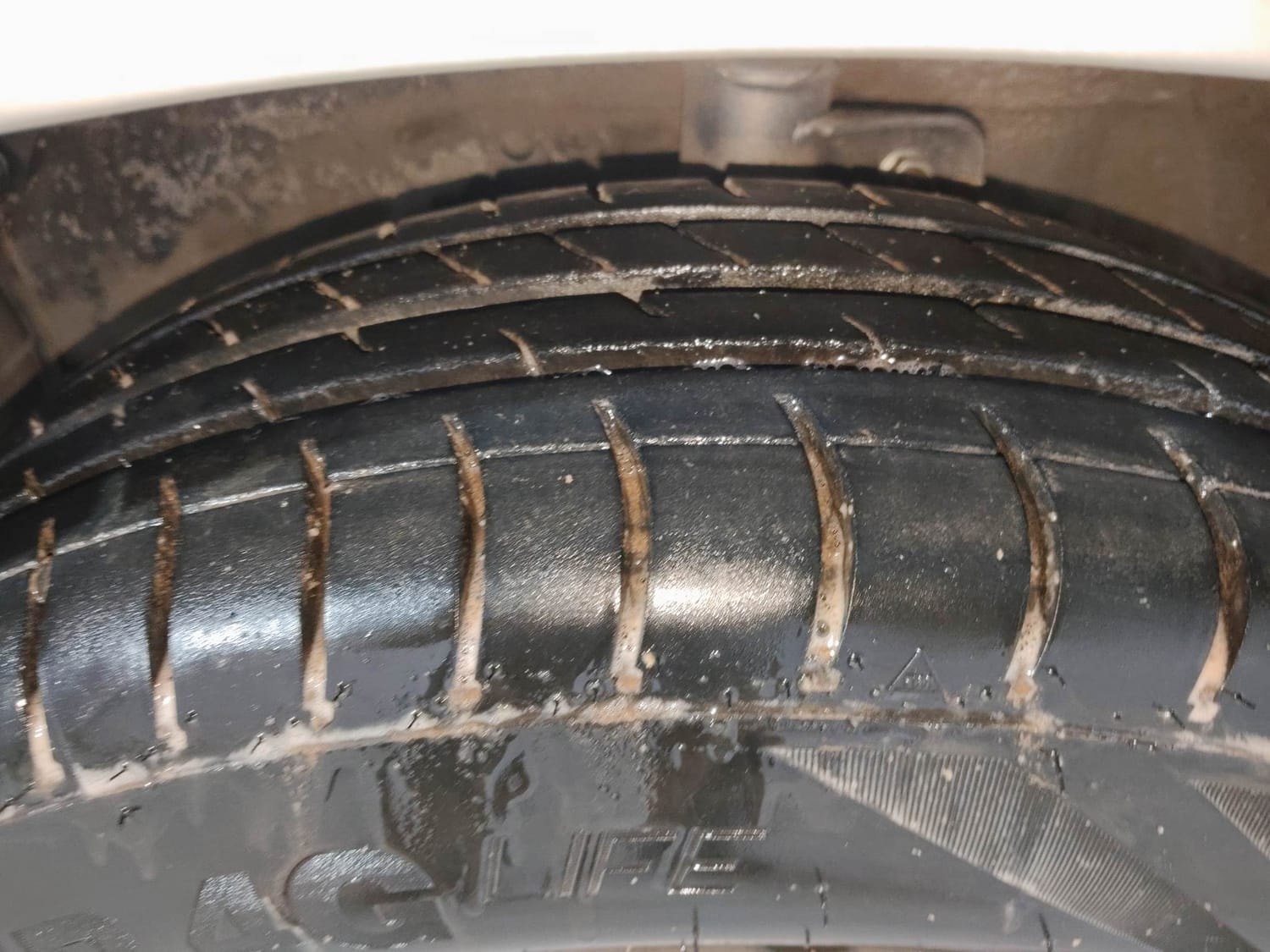 Celerio image 38 Celerio image 38