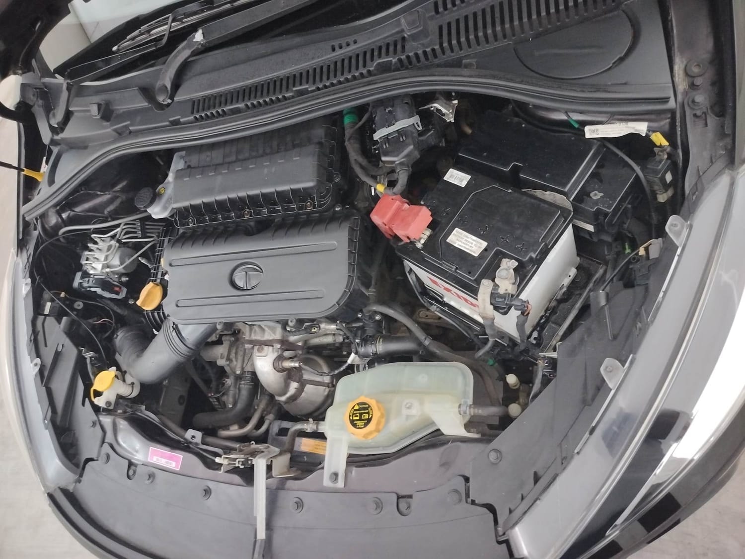 Tiago image 28 Tiago image 28