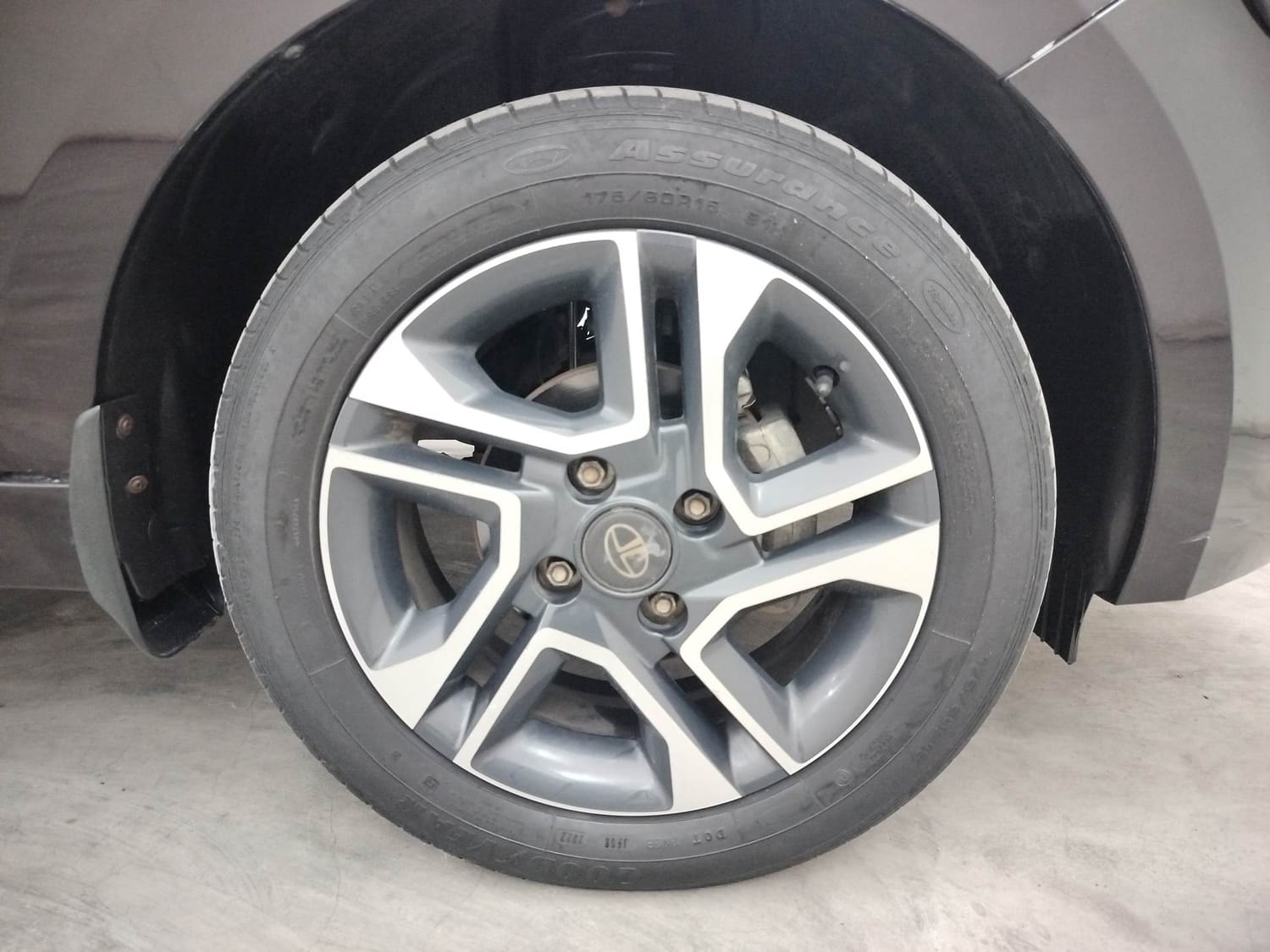 Tiago image 32 Tiago image 32