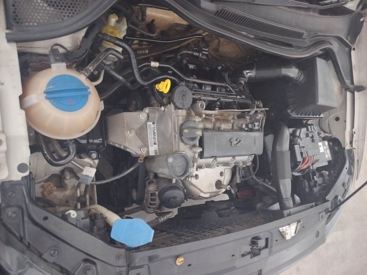 Ameo image 29 Ameo image 29