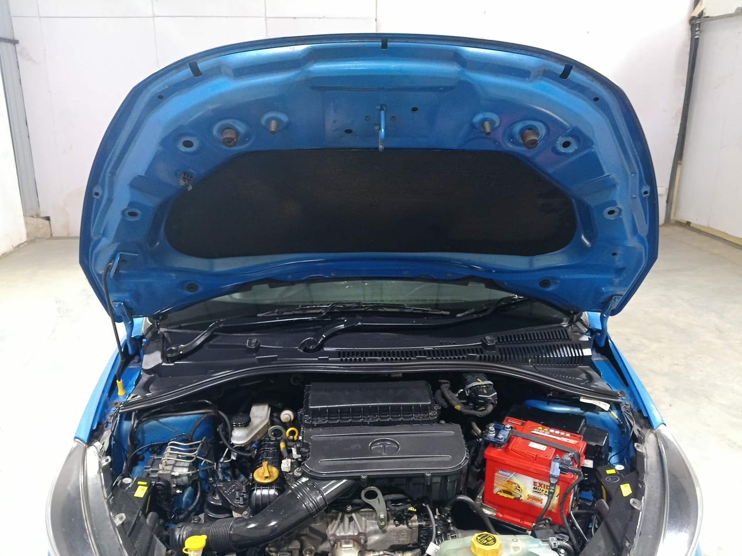 Tiago image 27 Tiago image 27