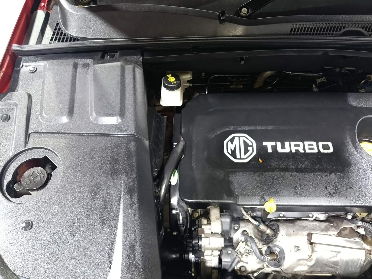 Hector image 29 Hector image 29