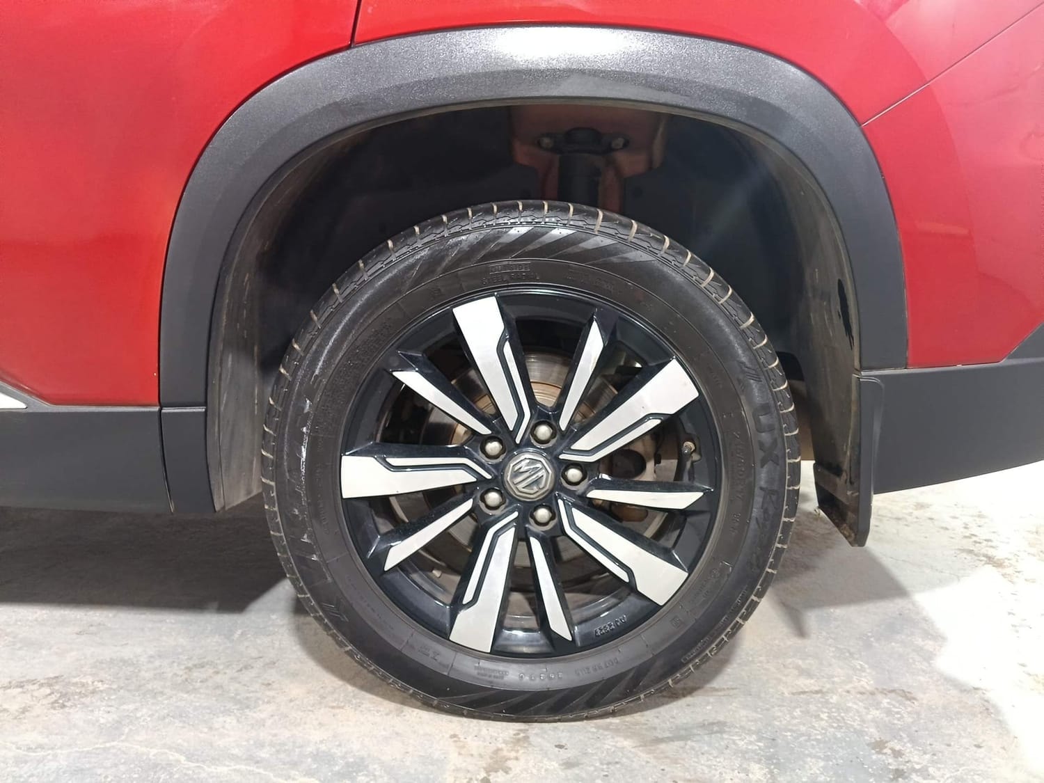 Hector image 35 Hector image 35