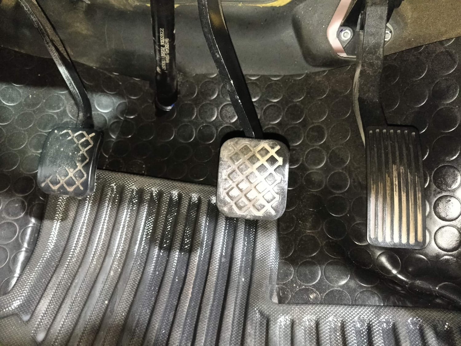 Hector image 26 Hector image 26