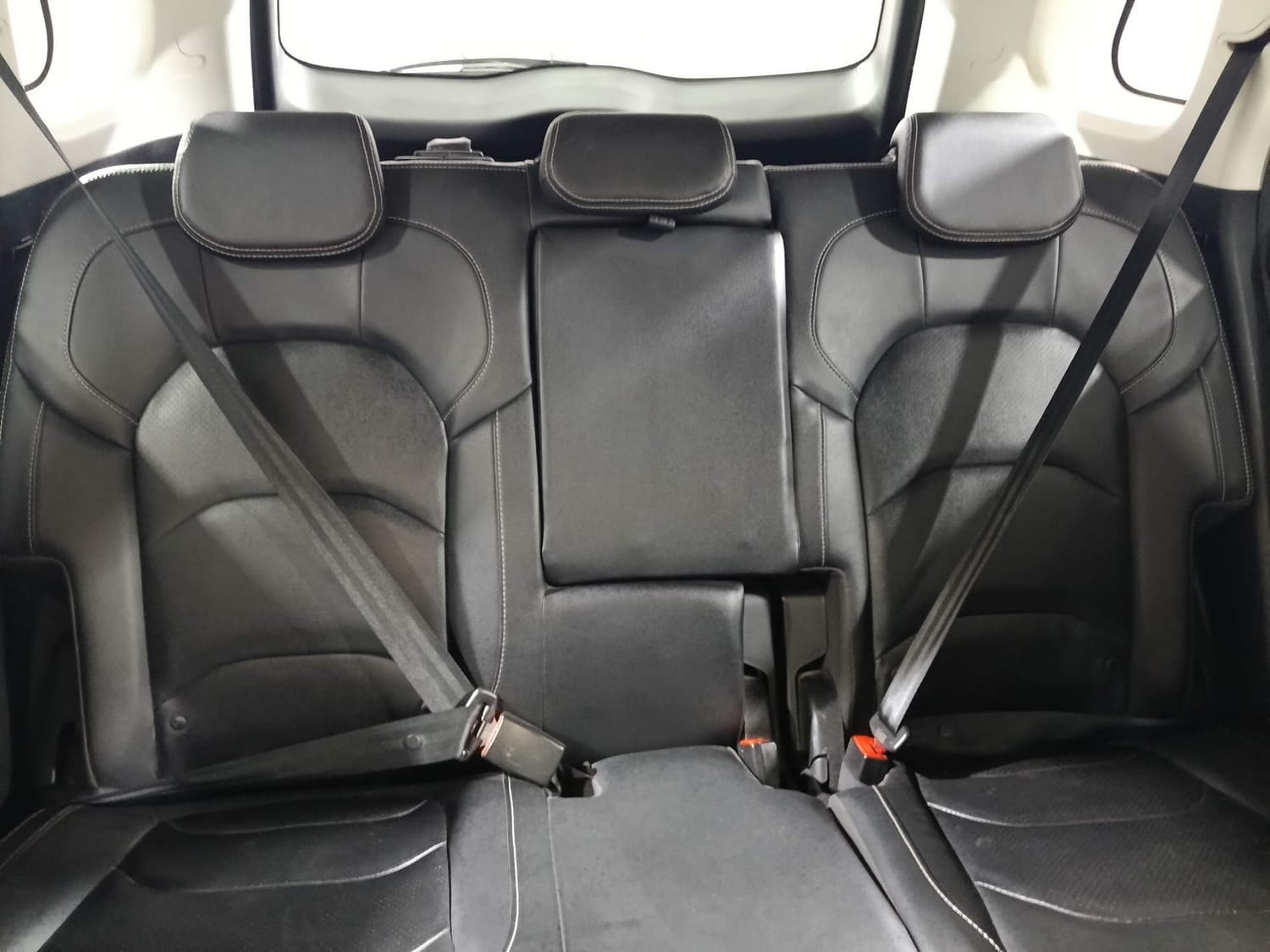 Hector image 23 Hector image 23