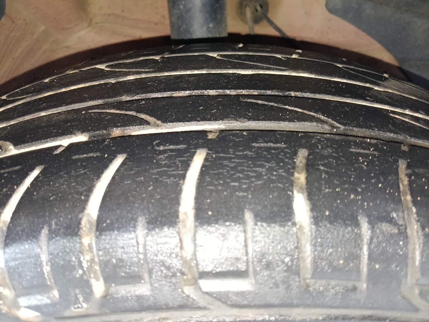 Hector image 36 Hector image 36