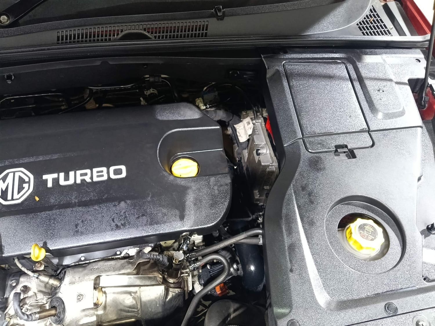 Hector image 28 Hector image 28