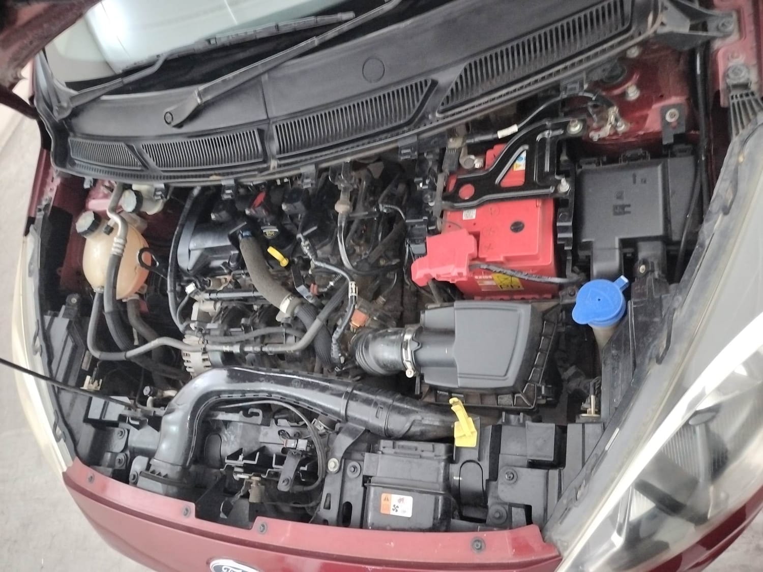 Figo image 28 Figo image 28