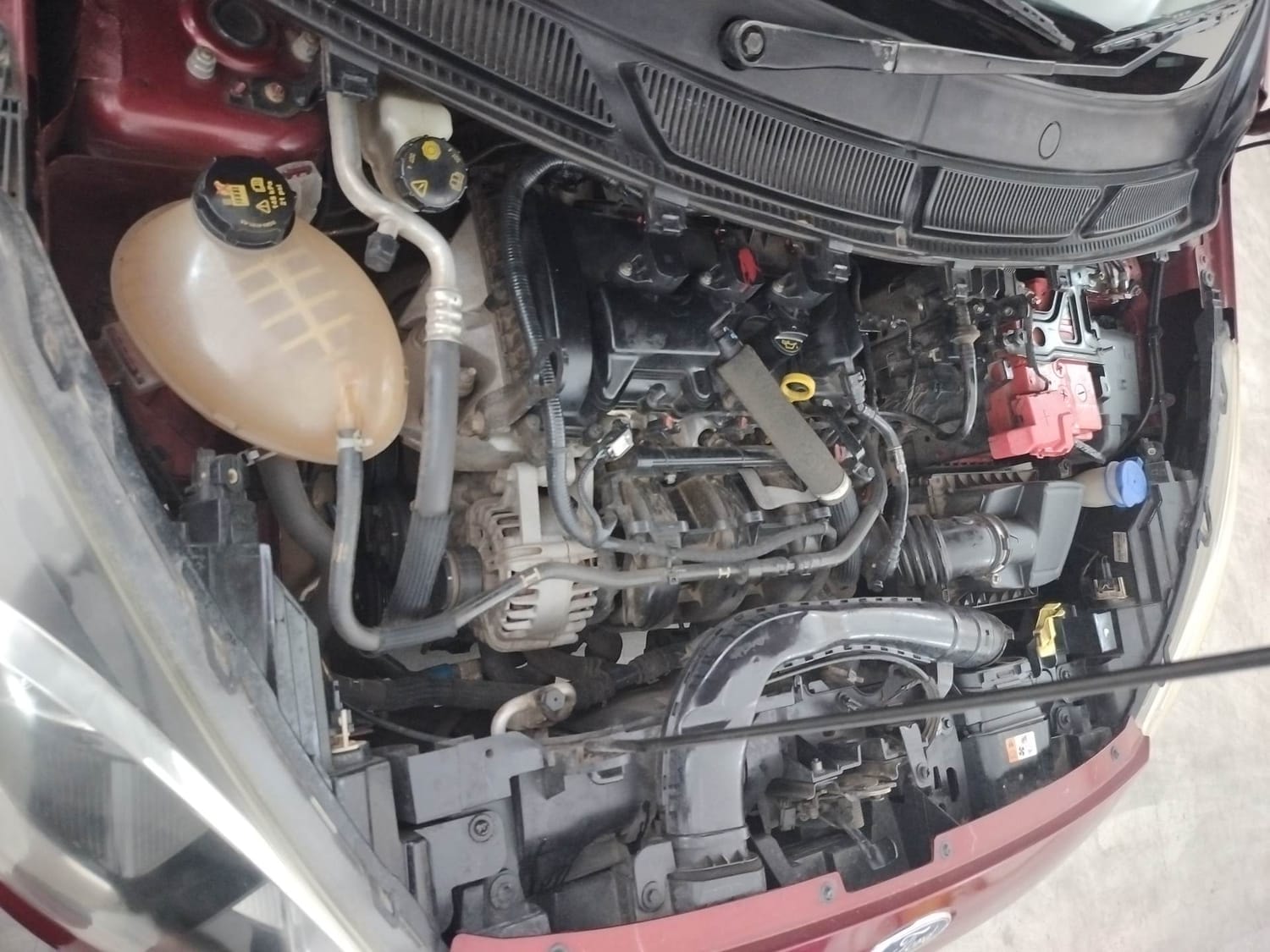 Figo image 29 Figo image 29