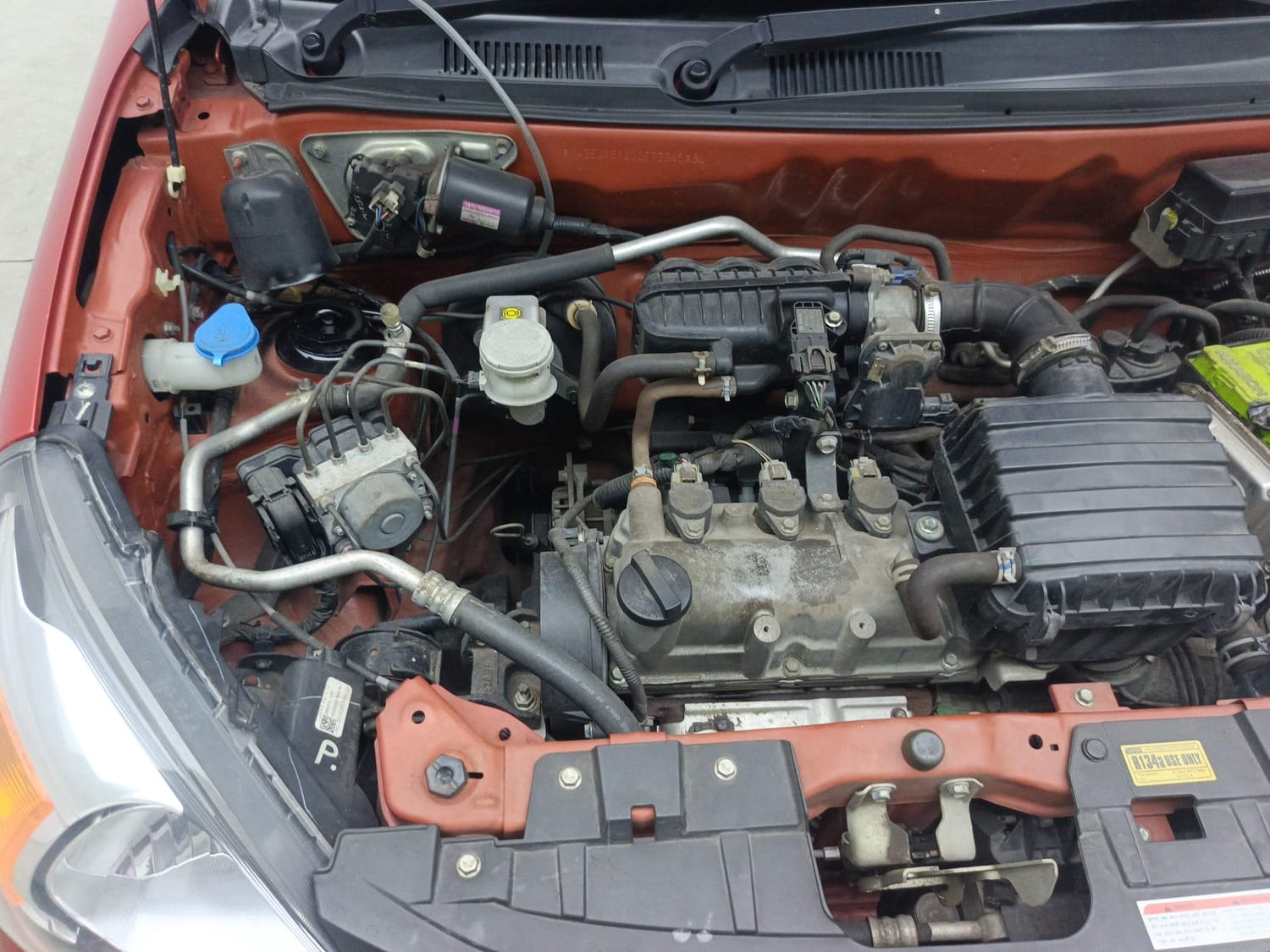 Alto 800 image 29 Alto 800 image 29